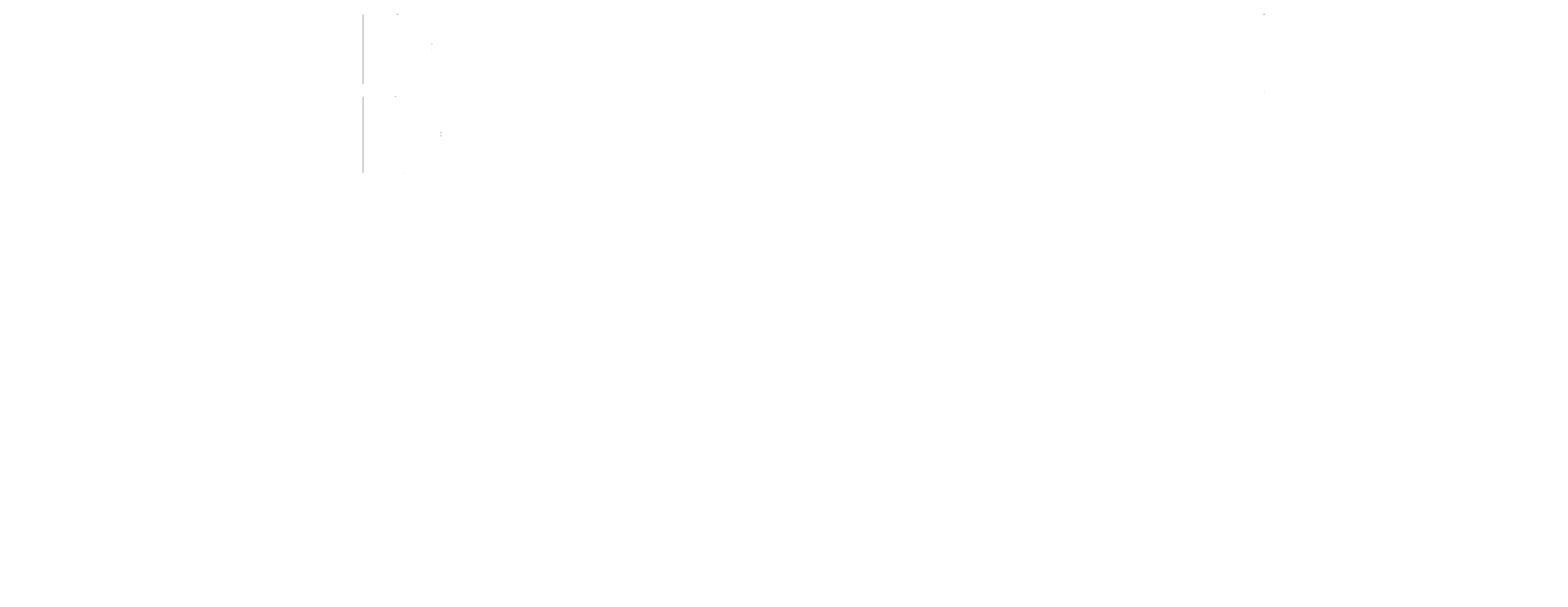 BayernMUN