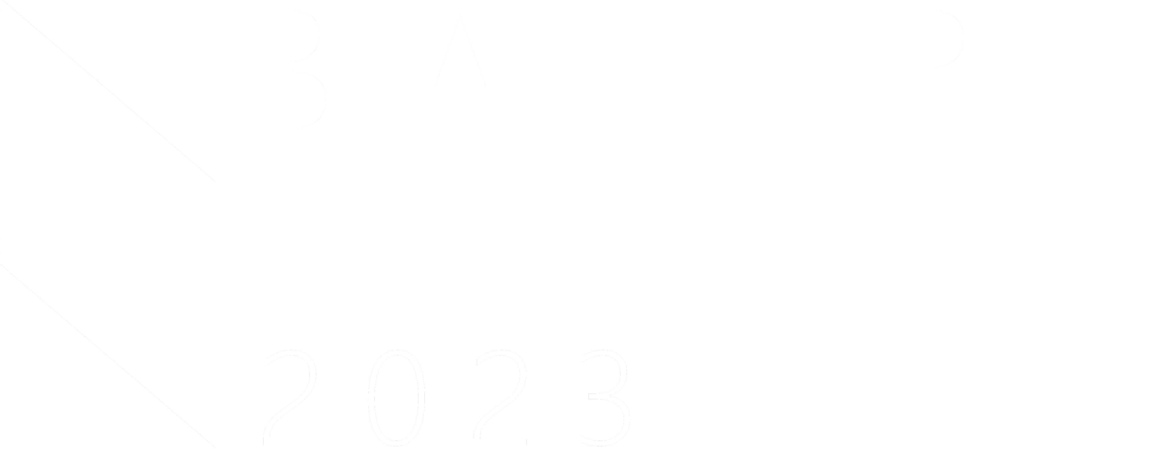 BayernMUN